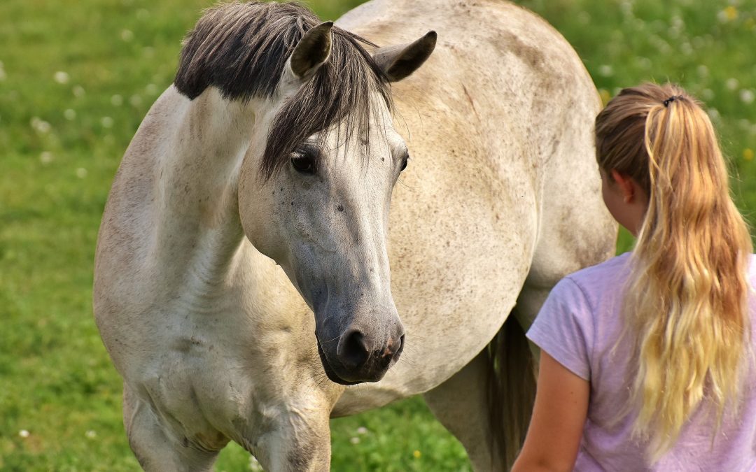 Equine assisted learning with disadvantaged children