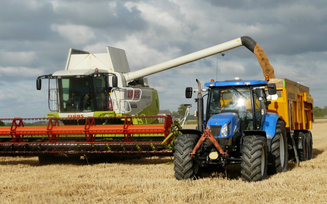 Lamma Show, Peterborough, 18 January 2017.