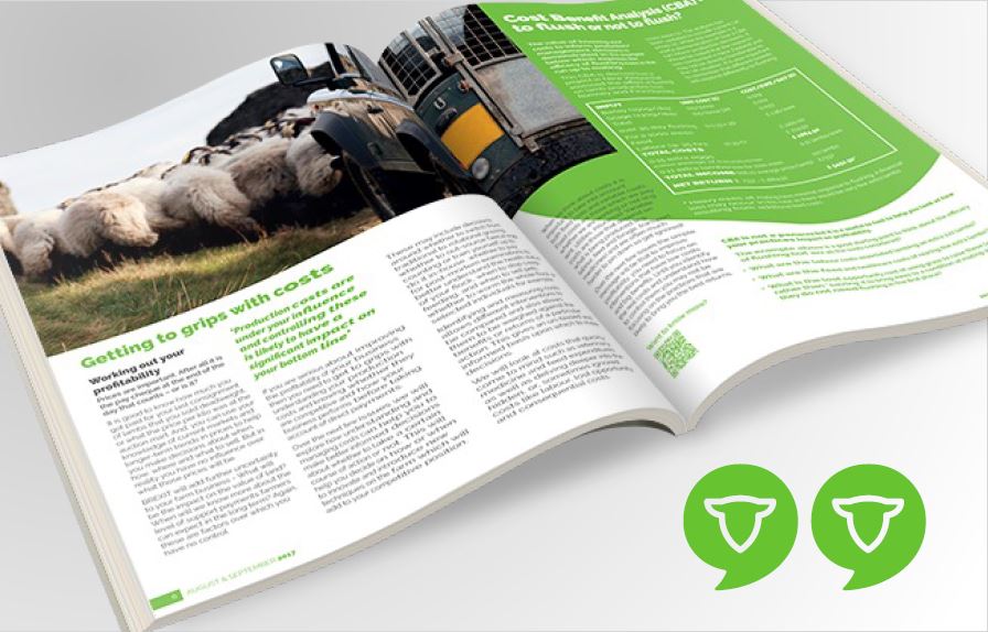 Product Development of a technical magazine “SHEEP MATTERS”